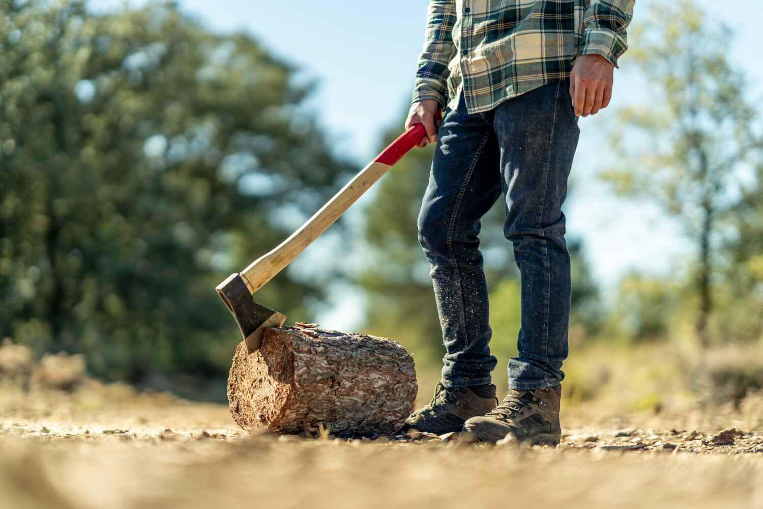 Best Emergency Storm Tree Removal  in USA